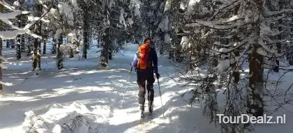 Backcountry skiiing 2004247 1920