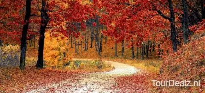 Herfstvakantie