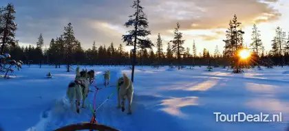Husky 4839700 1280