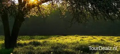 Meadow 5263664 1280
