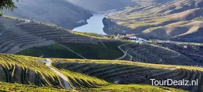 Vineyard 5649128 1280