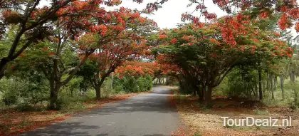 Road 405168 1920