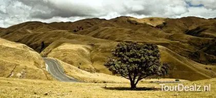Roadway 1149613 1920