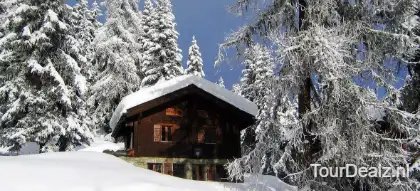 Snow 1857003 1280 1